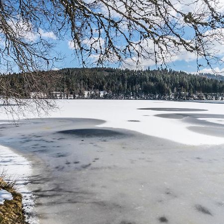 Ferienwohnung Am Schwellenweiher Feldberg (Baden-Wurttemberg) Exterior foto