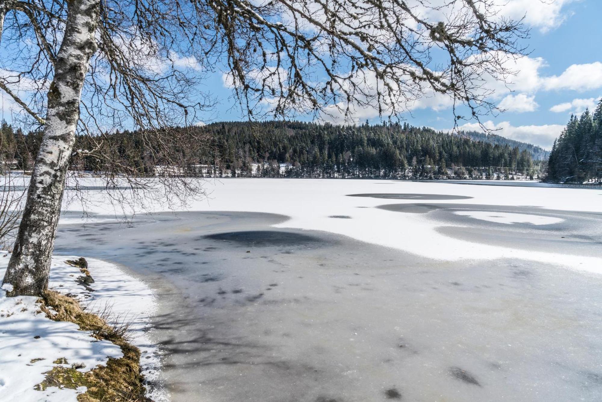 Ferienwohnung Am Schwellenweiher Feldberg (Baden-Wurttemberg) Exterior foto