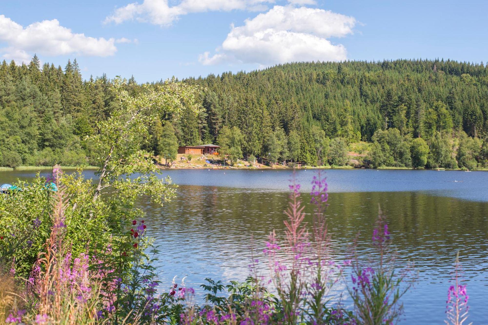 Ferienwohnung Am Schwellenweiher Feldberg (Baden-Wurttemberg) Exterior foto